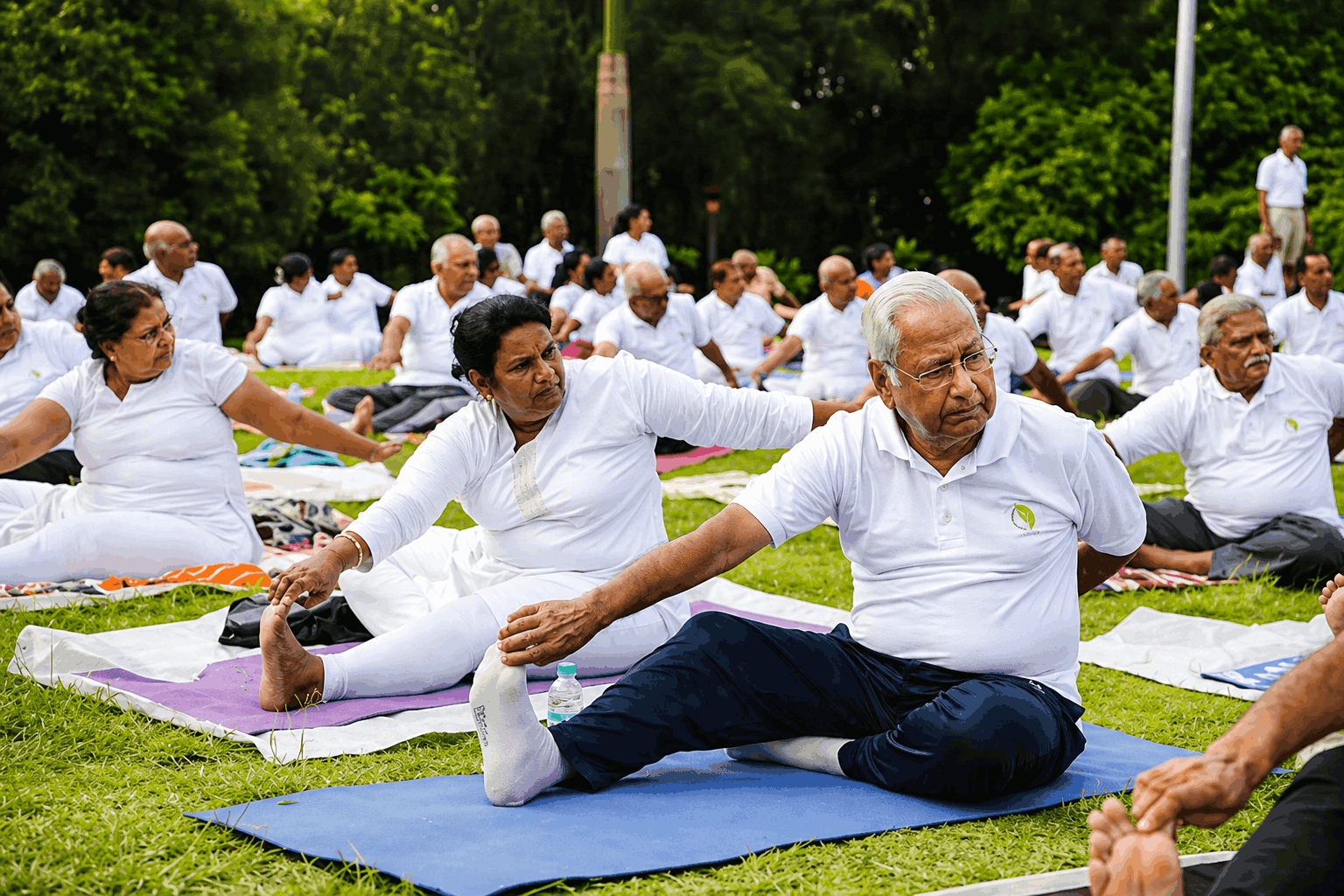 Senior's Citizen Yoga